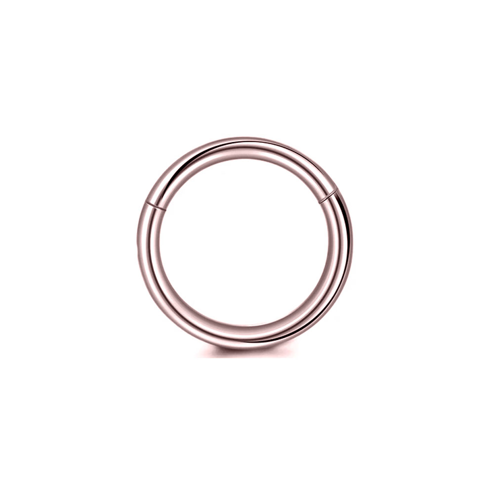 Anneaux de nez en acier chirur - Body Jewelry Surgical Steel avis et prix
